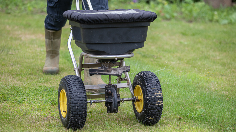 Person pushing a fertilizer spreader across the lawn