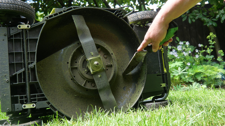 Male hands checking the underside of a lawn mower