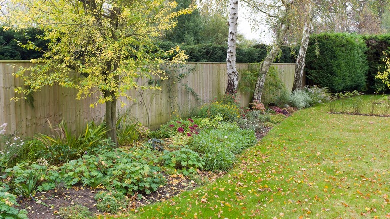 Lawn with flower bed next to fence in fall