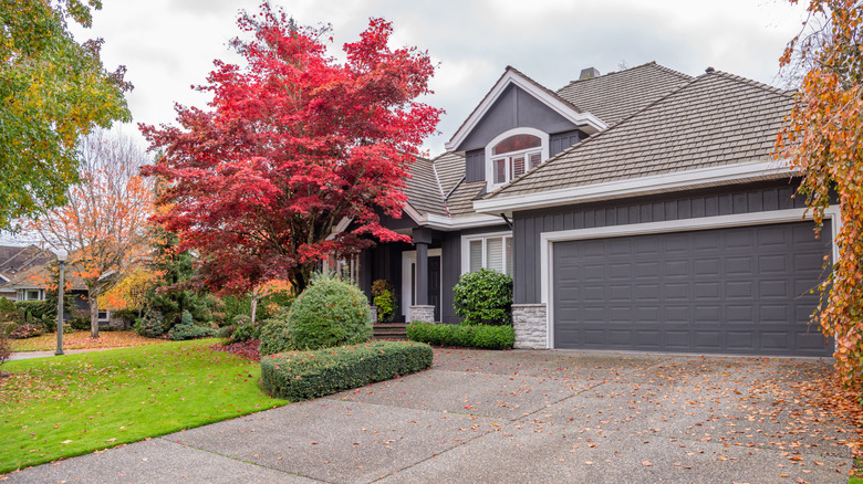 House with autumn foliage in driveway and front lawn