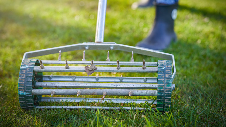 A person pushing a manual lawn aeration tool with spiked tines