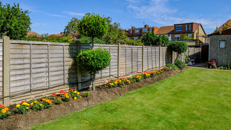 garden fence