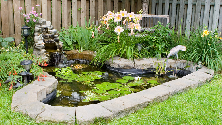 Small garden koi pond