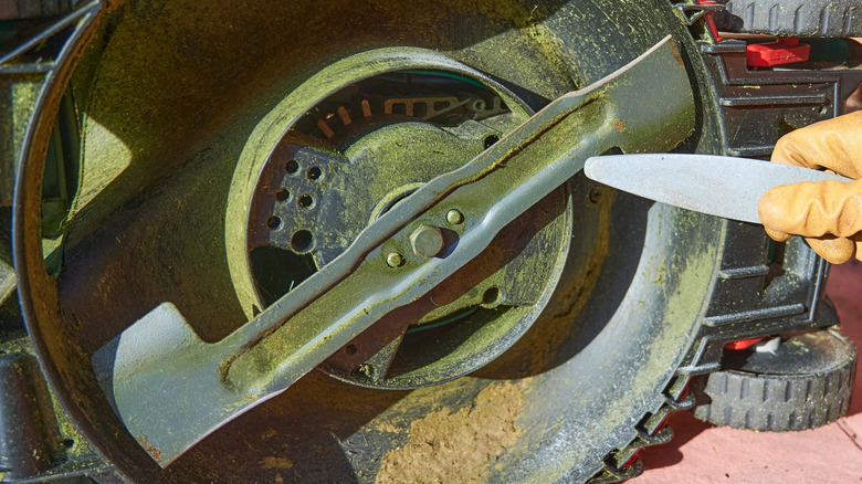 Person using a file to sharpen a mower blade