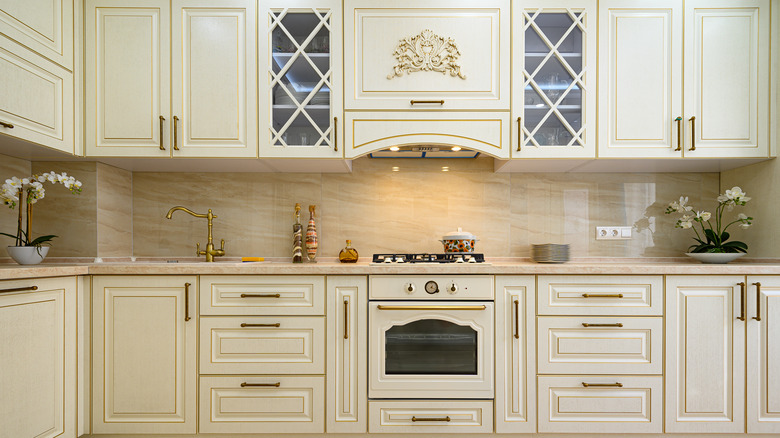 contemporary classic kitchen interior