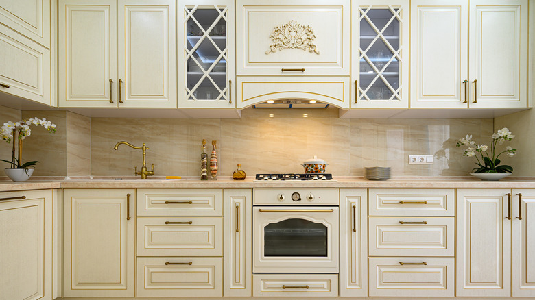 contemporary classic kitchen interior