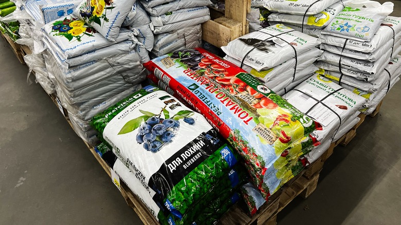Plant soil in bags in store