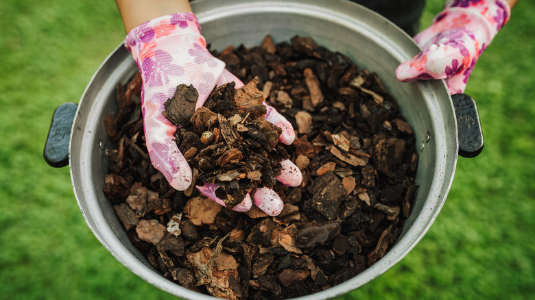 Person holding handul of orchid bark above plant pot