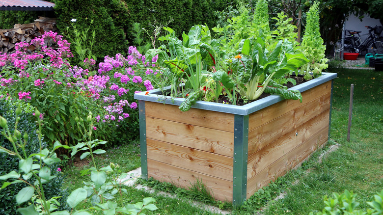 raised garden box in yard