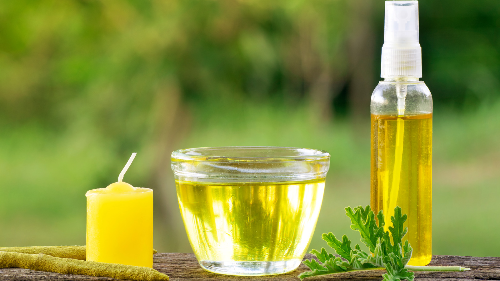 Does Citronella Really Work To Keep Mosquitoes Away From Your Home?