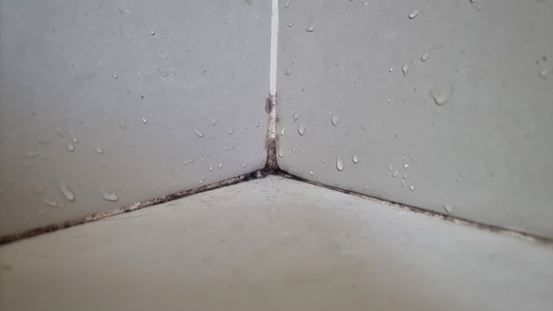 Moldy bathroom caulk