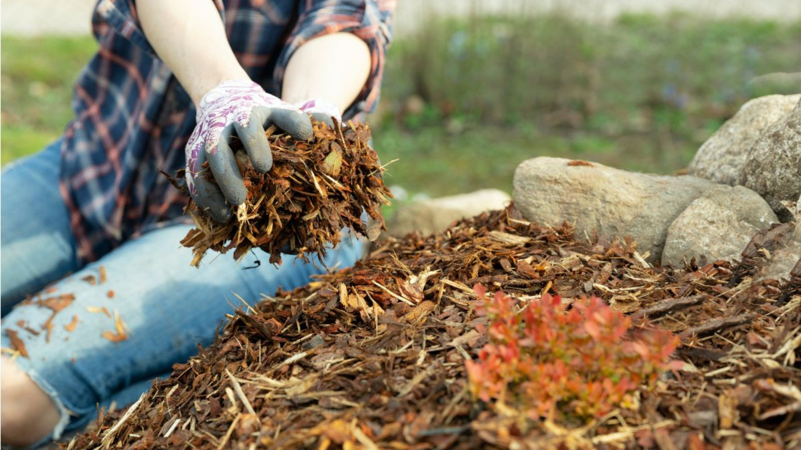 Does diy mulch glue work on sloped backyards 