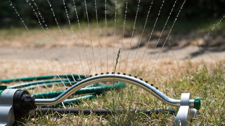 sprinkler running in sunlight