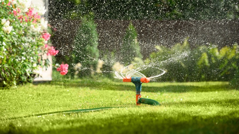 Sprinkler watering lawn