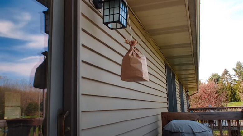 Paper bag hanging outside house