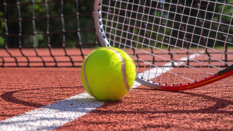 landscaped garden and tennis court