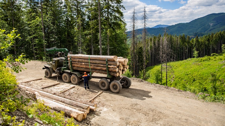 wood on truck