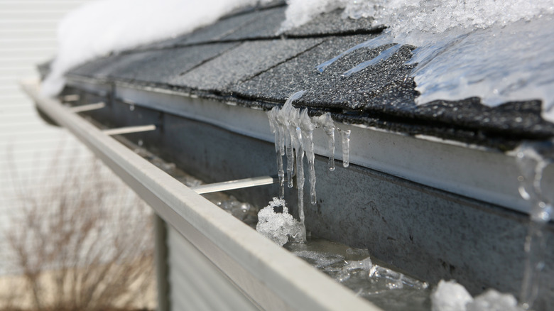 Snow on roof and gutters