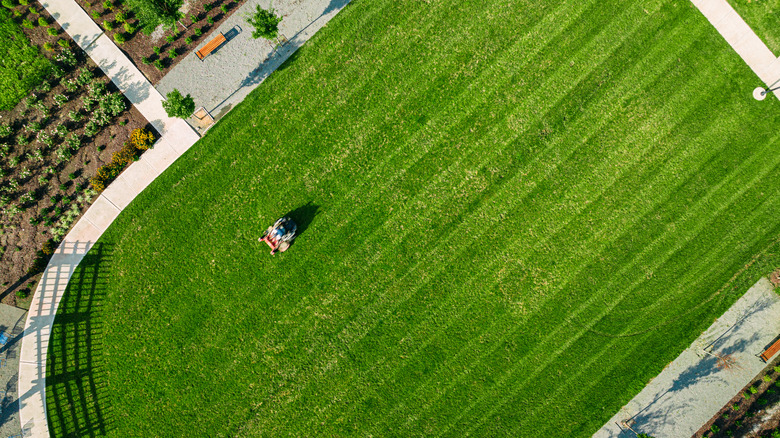 Top-down view of a ride-on lawn mower on a well-manicured lawn