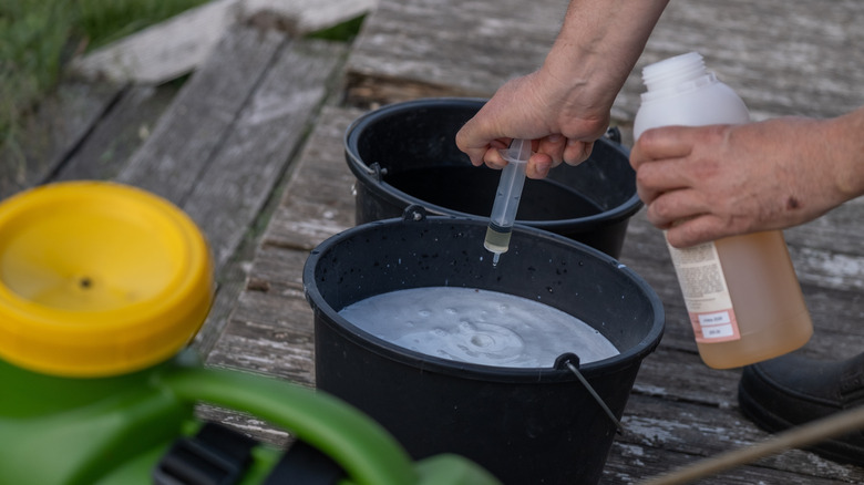 Adding drops of concentrated chemicals to a pesticide solution in a bucket outdoors