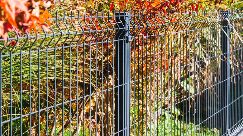 Decorative wire fencing around a yard's perimeter