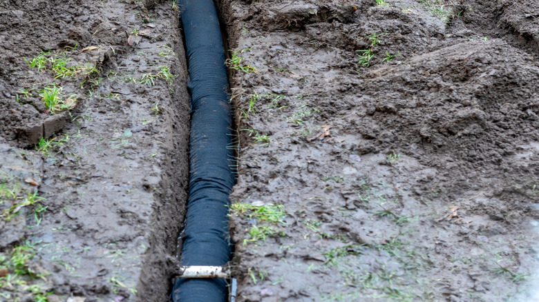 man installing a drainage pipe into a muddy backyard