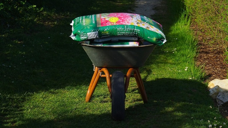 Bags of soil in wheelbarrow