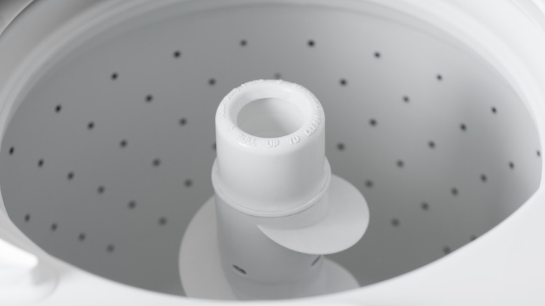 Top load washing machine with agitator