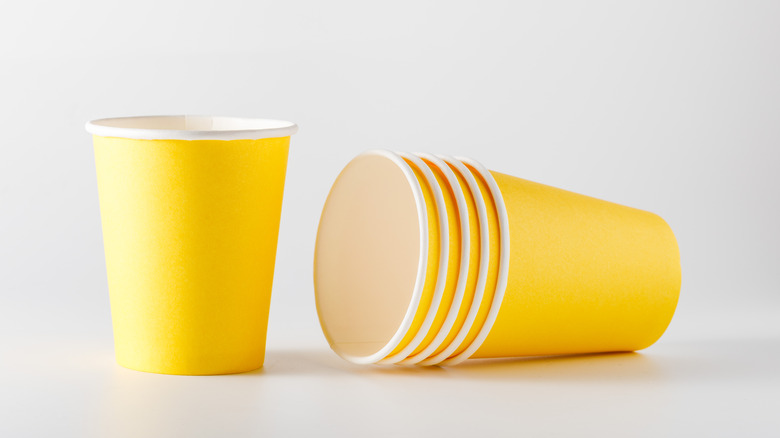 Yellow paper cups white background