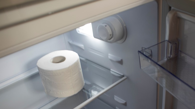A roll of toilet paper in an empty refrigerator