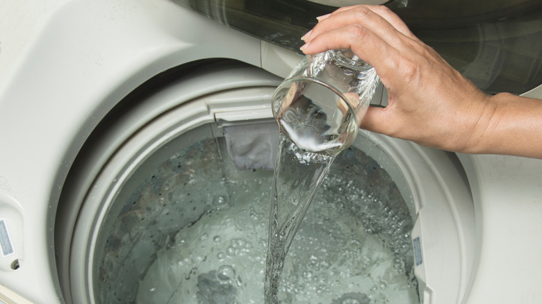 Pouring white vinegar in machine