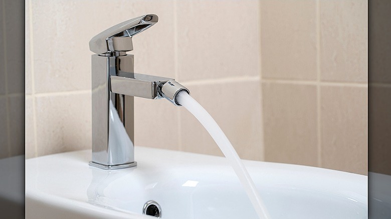 Bidet toilet bowl filtration