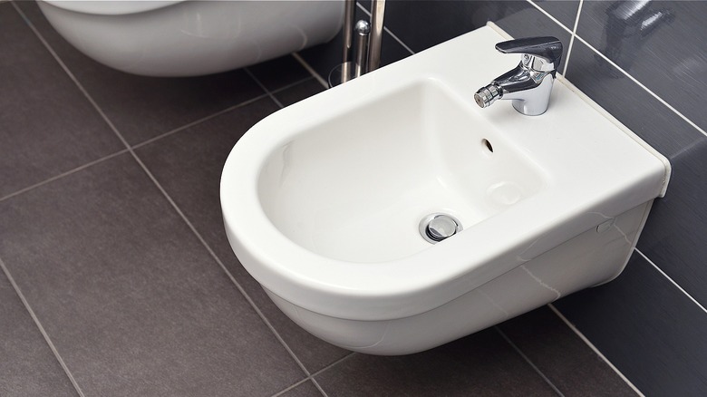 Bidet in gray-tiled bathroom