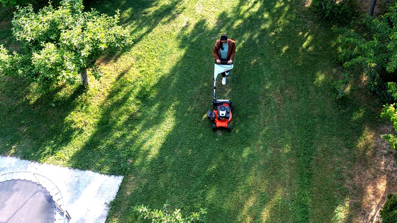 Aerial view of a person mowing their lawn that's partly in the sun and partly in the shade
