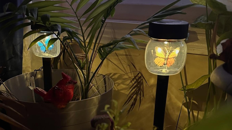 Butterfly in a Jar solar stake lights lit up in potted plants inside