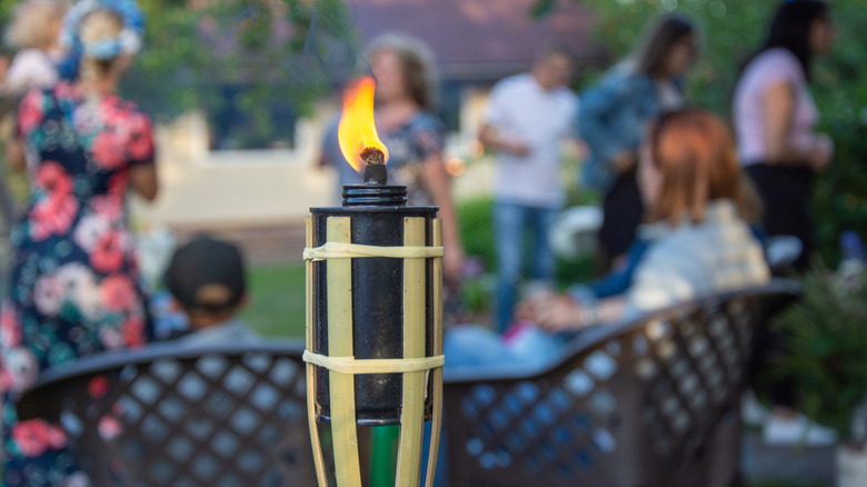 Dollar Tree's gardening aisle
