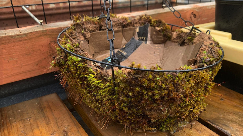 Hanging basket with moss lined in it on a wood bench