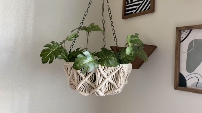 Macrame hanging planter with dark green leaves in it hanging near a corner wall with art