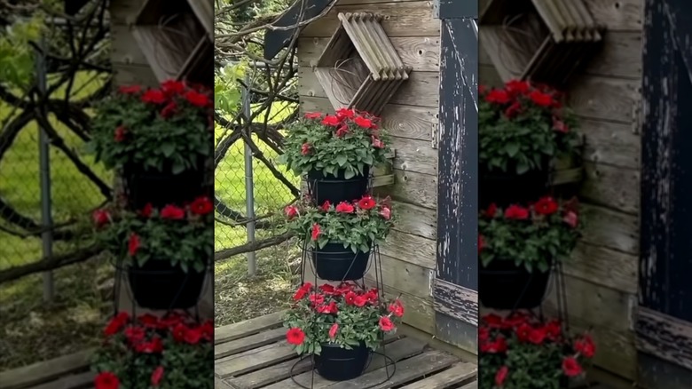 Three Tiered planter with red flowers in black pots near a wood shed