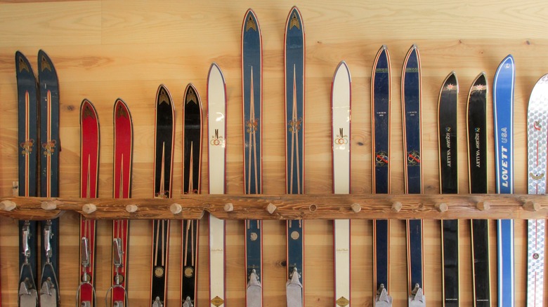 Row of vintage skis standing upright