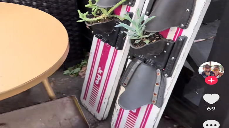 Plants growing in skis