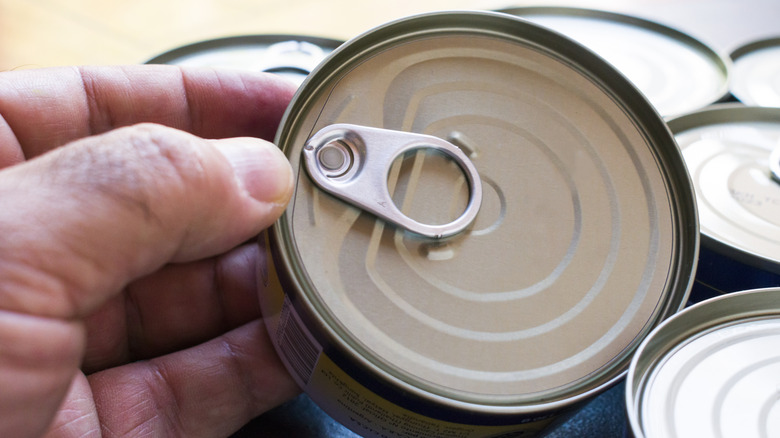 closeup of person holding canned meat
