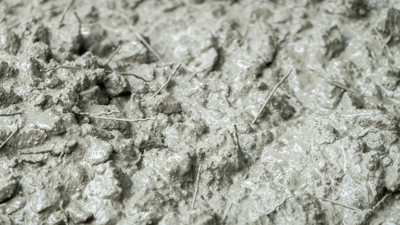 Wet concrete mix showing the steel fiber reinforcing