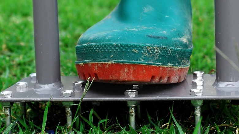 A closeup of a lawn aerator being pushed into ground by a boot