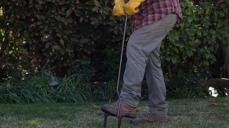 A man pushing a lawn core aerator into the ground with his foot