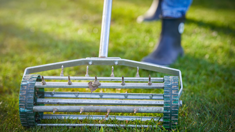 A closeup of a rolling lawn aerator in use