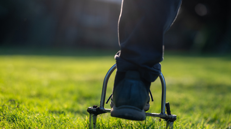 A person using a manual aerator to help aerate lawn