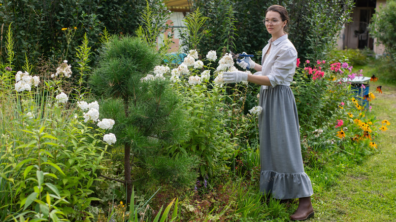 A gardener wearing gloves and holding pruners tends to a cottage garden that's in full bloom.