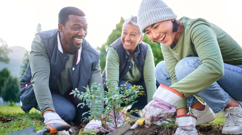 Smiling people gardening