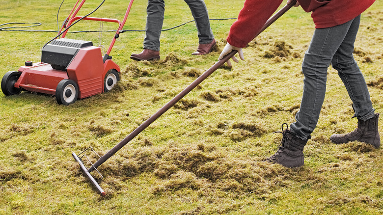 Thatching the dead patch 